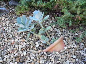 Idea 10: Broken Pottery