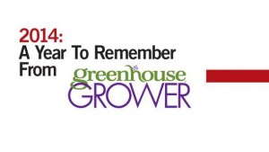 2014: A Year To Remember