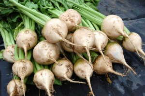 Beet ‘Avalanche’