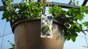 Manufacturers Are Taking  Biologicals To The Next Level