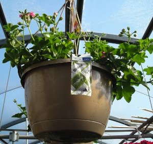 Manufacturers Are Taking  Biologicals To The Next Level