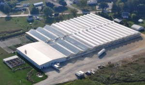 Plantpeddler Aerial View