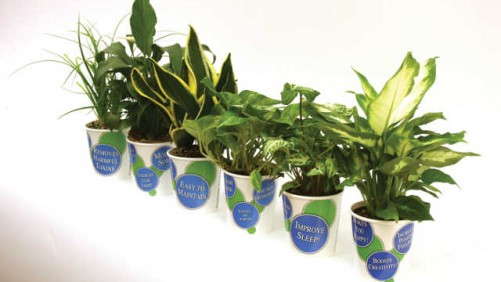 Benchmarks: Let’s Change Our Story