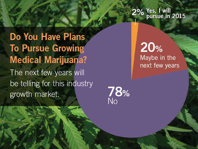 Do You Have Plans To Pursue Growing Medical Marijuana?