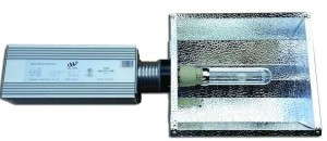 315W Ceramic Metal Halide (Welthink Electronic Co.)