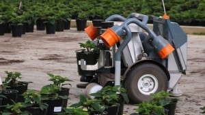 Robots Grab Hold Of Growers’ Material Handling Needs