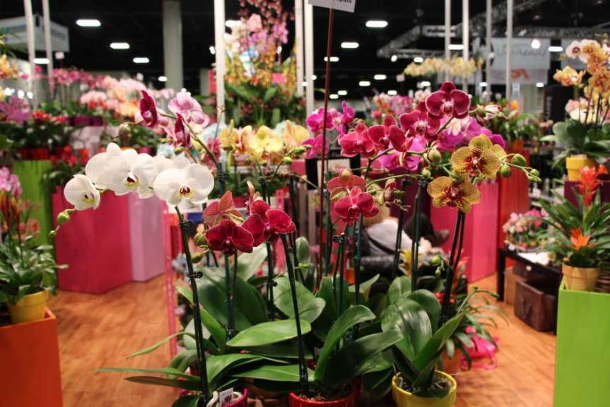 Highlights From TPIE 2015