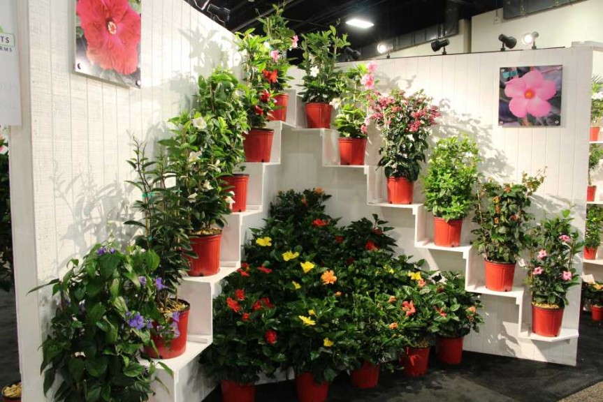 Highlights From TPIE 2015