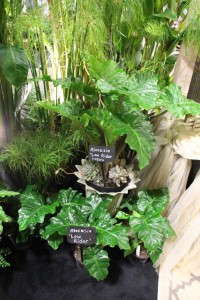 Highlights From TPIE 2015