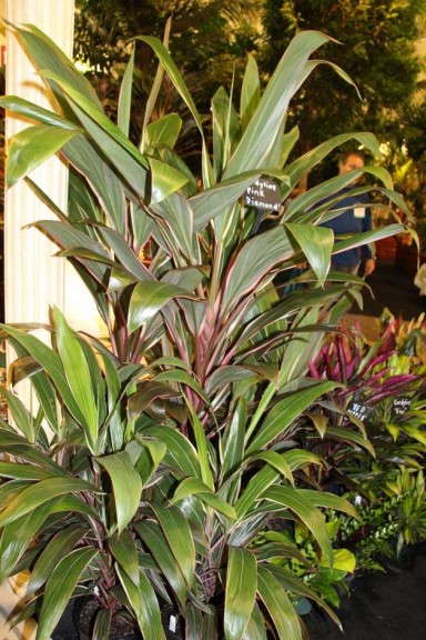 Highlights From TPIE 2015