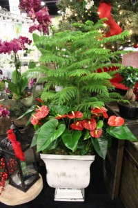 Highlights From TPIE 2015