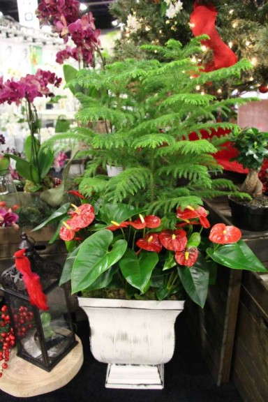 Highlights From TPIE 2015