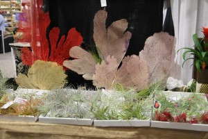 Highlights From TPIE 2015