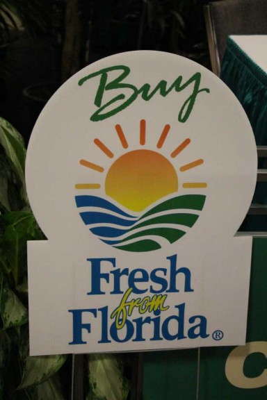 Highlights From TPIE 2015