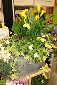 Highlights From TPIE 2015