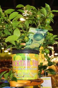 Highlights From TPIE 2015