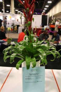 Highlights From TPIE 2015