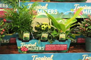 Highlights From TPIE 2015