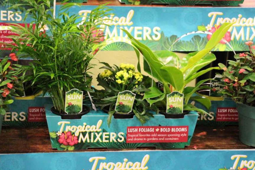 Highlights From TPIE 2015