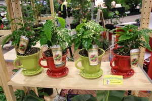 Highlights From TPIE 2015