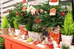 Highlights From TPIE 2015