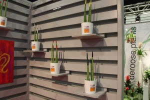 Highlights From TPIE 2015