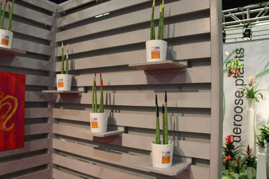 Highlights From TPIE 2015