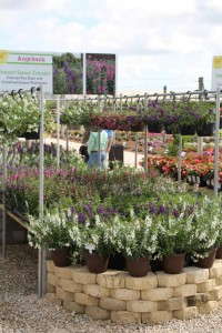 Costa Farms' Season Premier 2015