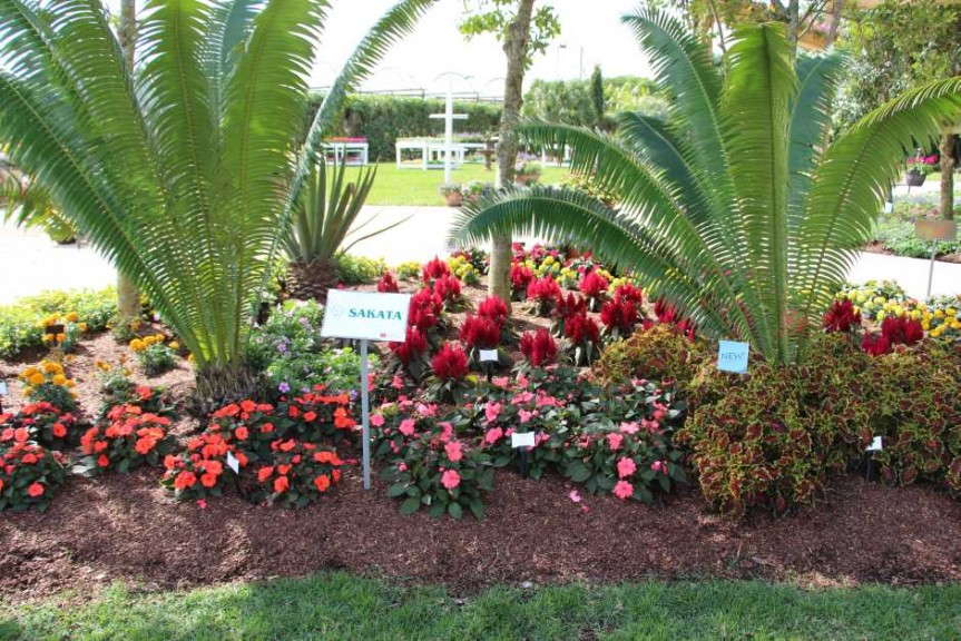 Costa Farms' Season Premier 2015