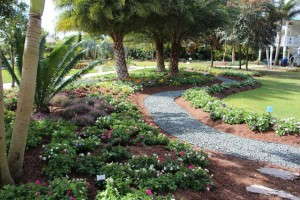 Costa Farms' Season Premier 2015