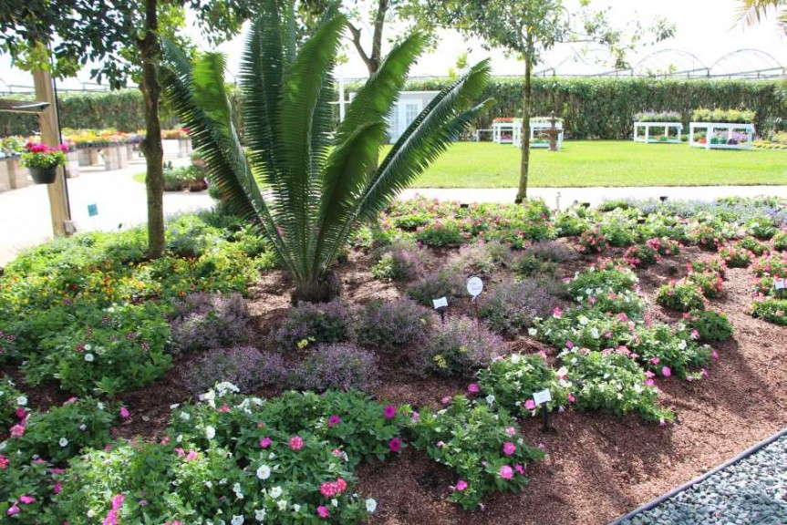 Costa Farms' Season Premier 2015