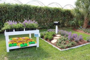 Costa Farms' Season Premier 2015