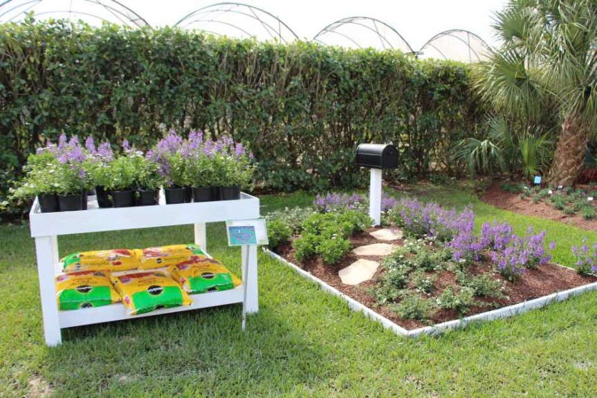 Costa Farms' Season Premier 2015