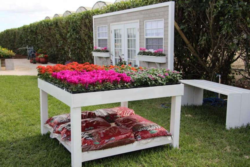 Costa Farms' Season Premier 2015