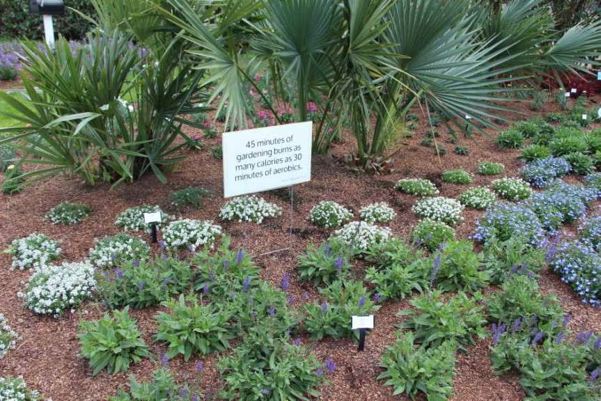 Costa Farms' Season Premier 2015