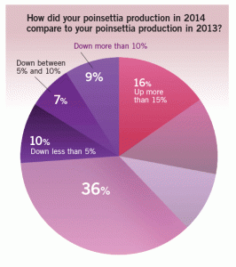 Poinsettia Survey 2014