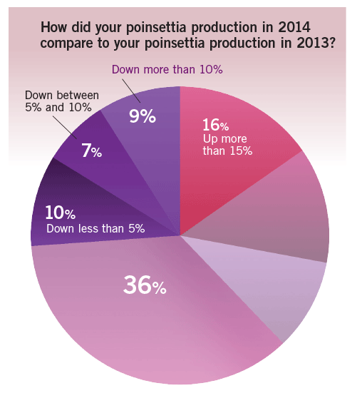Poinsettia Survey 2014