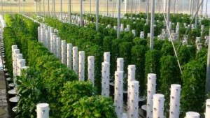 Rough Brothers Takes A Hands-On Approach To Several Projects