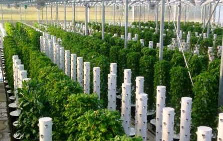 Rough Brothers Takes A Hands-On Approach To Several Projects