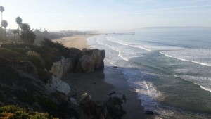 New Annuals For 2016 From California Spring Trials