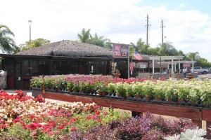 BBQ Restuarant On Flamingo Road's Property