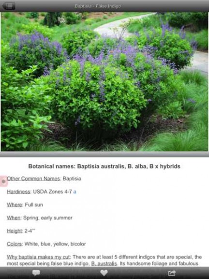 Screenshot Of Baptisia Page