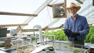 Aquaponics Is Making A Splash At Brogue Hydroponics