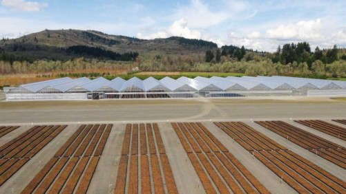 Conley’s Helps Fall Creek Farm And Nursery Increase Blueberry Production