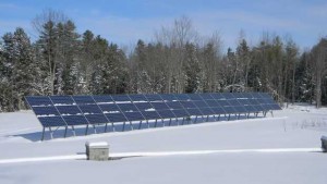 Cozy Acres Greenhouses: Operating With Zero Emissions