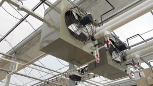New Ways To Give Growers Control Of The Greenhouse Environment