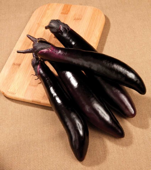 Eggplant 'Shikou' (Sakata Vegetables)