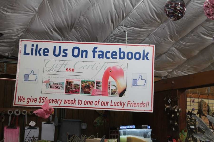 Facebook Promo At Flamingo Road