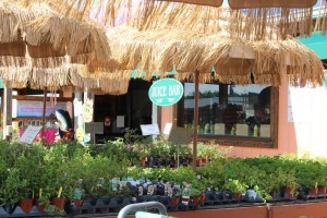 Farmers Market Promos in the plant yard at Flamingo Road