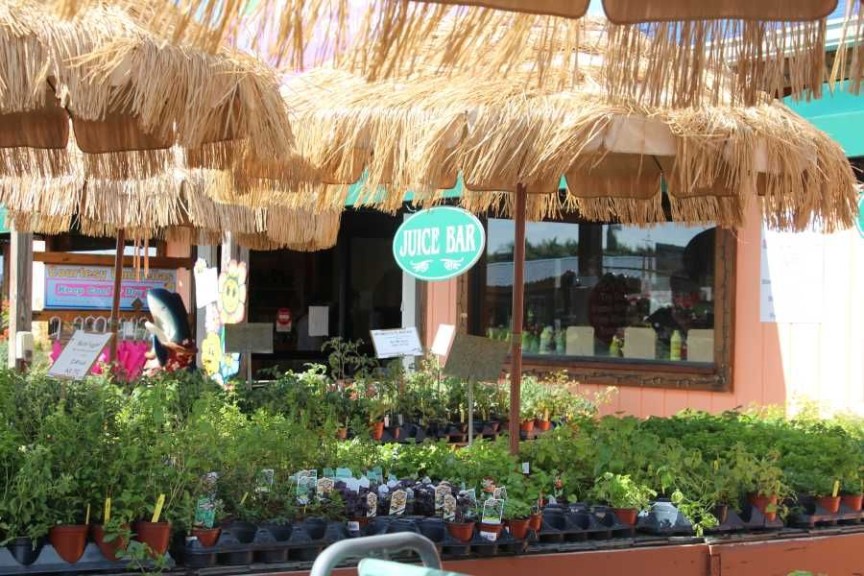 Farmers Market Promos in the plant yard at Flamingo Road